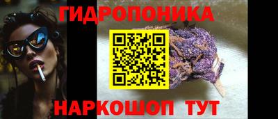 mdpv Лесосибирск