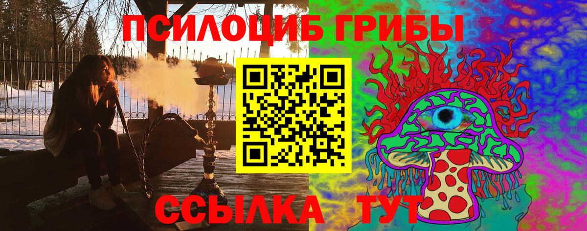 Псилоцибиновые грибы ЛСД Камышлов