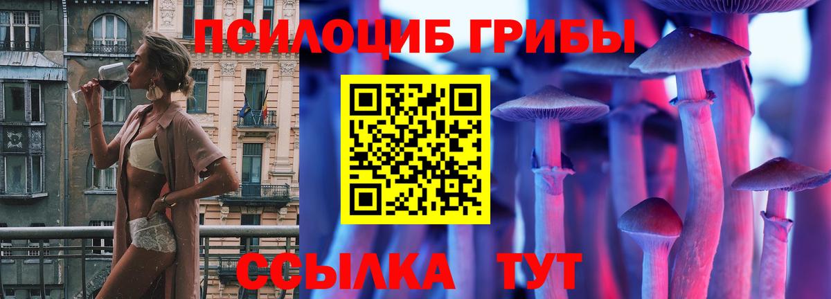 Камышлов  Псилоцибиновые грибы Psilocybe  Вход с VPN  Псилоцибиновые грибы мицелий 