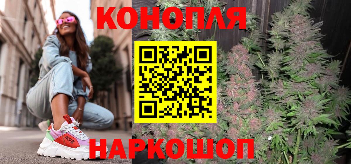 Марихуана план Камышлов